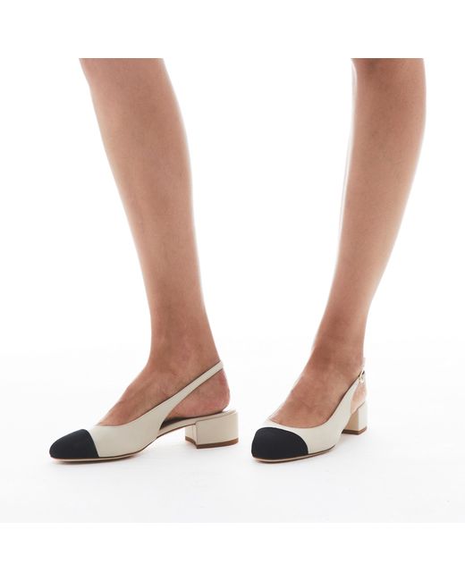 Scarosso Black Coco Weiß Edit