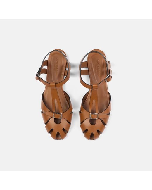 Scarosso Brown Gala Cuir