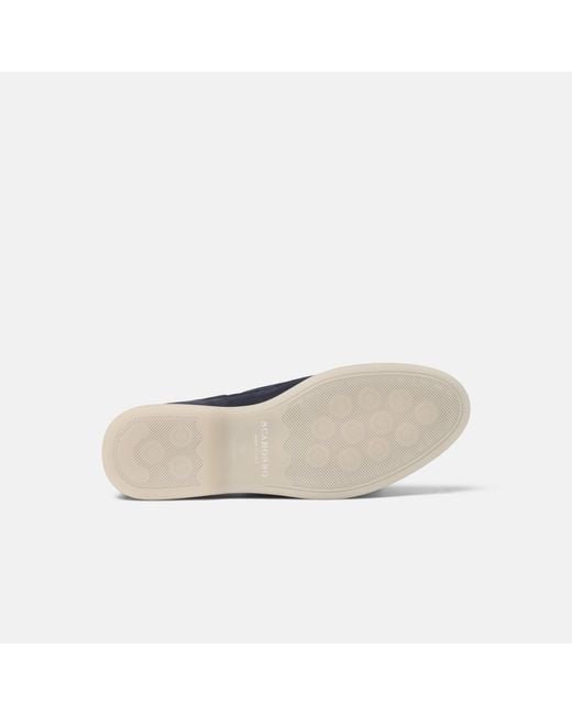 Scarosso Blue Sailor Shoes