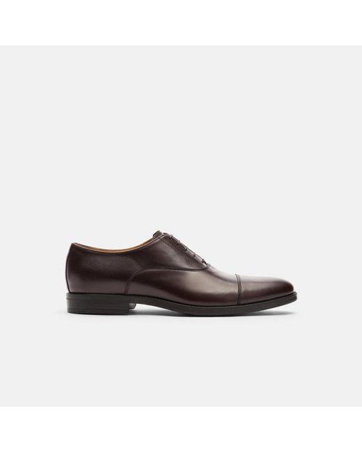 Scarosso Black Cesare Moro for men