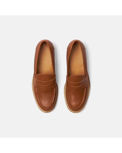 Scarosso Brown Harper Cognac Loafers