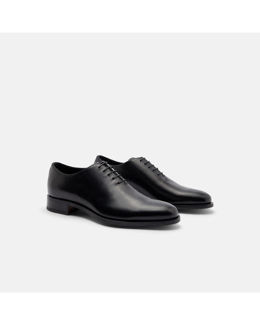 Scarosso Black Ignazio for men