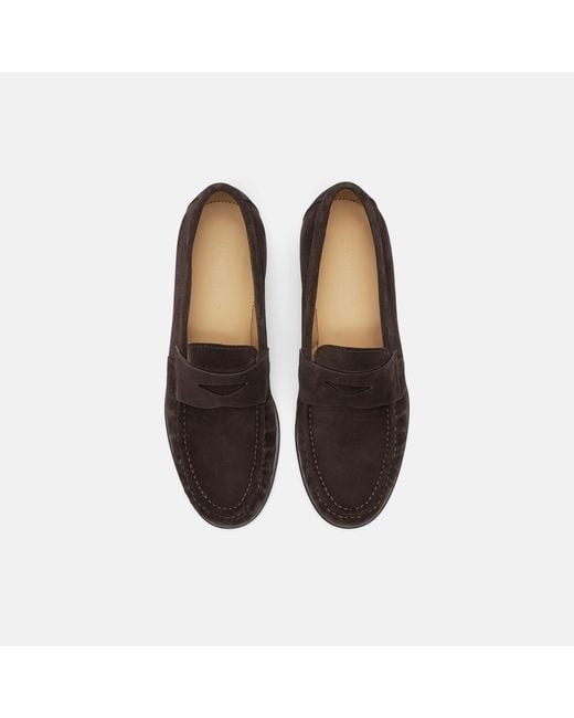 Scarosso Black Fred Brown Suede Loafers for men