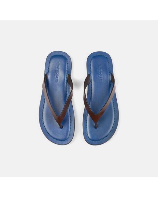 Scarosso Brown Ascanio Edit for men