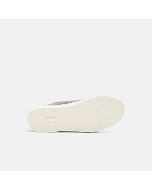 Scarosso Black Ambrogio Grey Sneakers for men