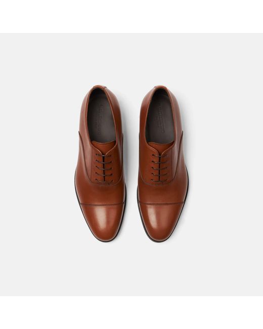 Scarosso Brown Vesta for men