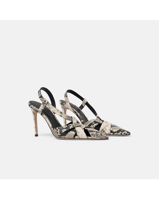 Scarosso Metallic Athena Python