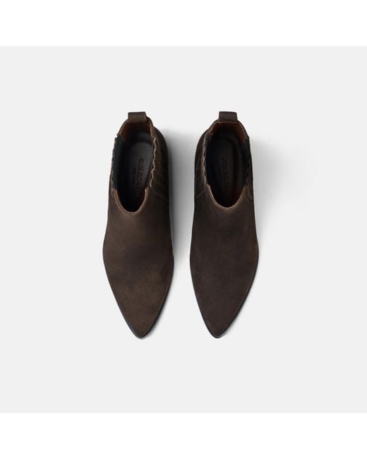 Scarosso Brown Olivia Suede