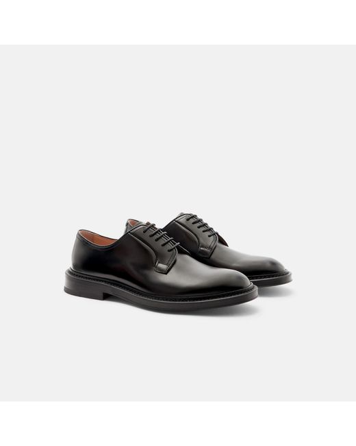 Scarosso Harry Black Derbies for men