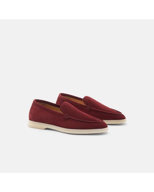 Scarosso Multicolor Ludovica Bordeaux Scamosciata
