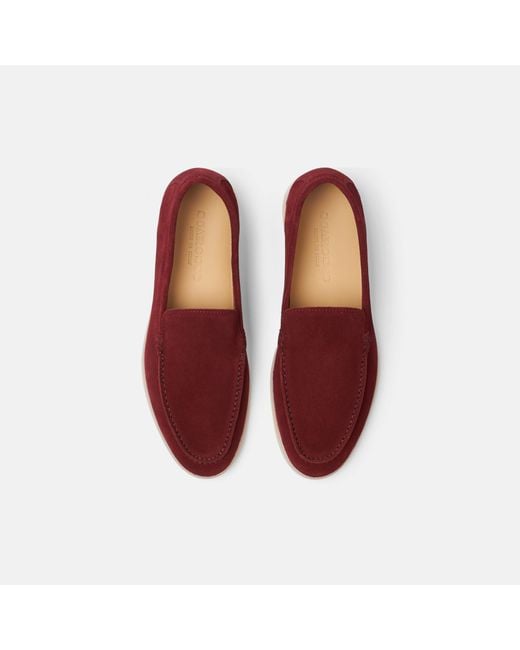 Scarosso Multicolor Ludovica Bordeaux Scamosciata