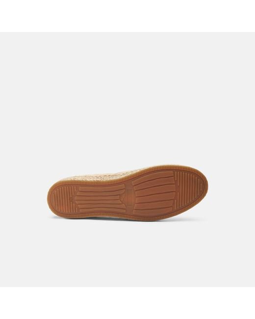 Scarosso Natural Miguel Nubuck for men