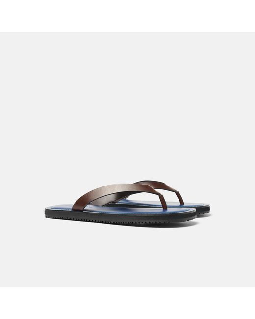 Scarosso Brown Ascanio Edit for men