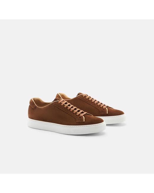 Scarosso Brown Ugo Suede for men