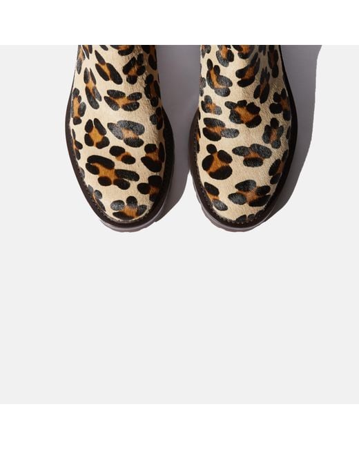 Scarosso Multicolor Wooster Leopard Boots for men