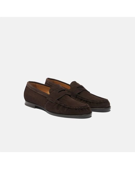 Scarosso Black Fred Brown Suede Loafers for men