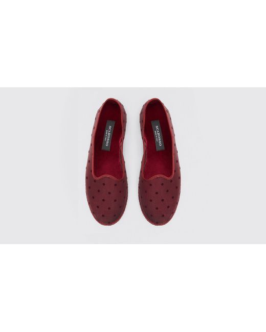 Scarosso Red Slippers Valentina Bordeaux Mesh Mesh