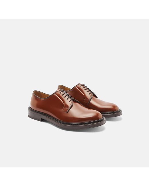 Scarosso Brown Harry Cognac Derbies for men