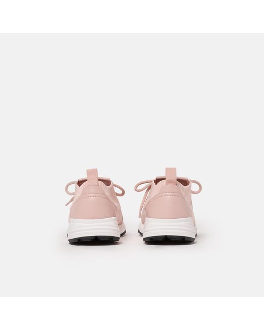 Scarosso Pink Robin