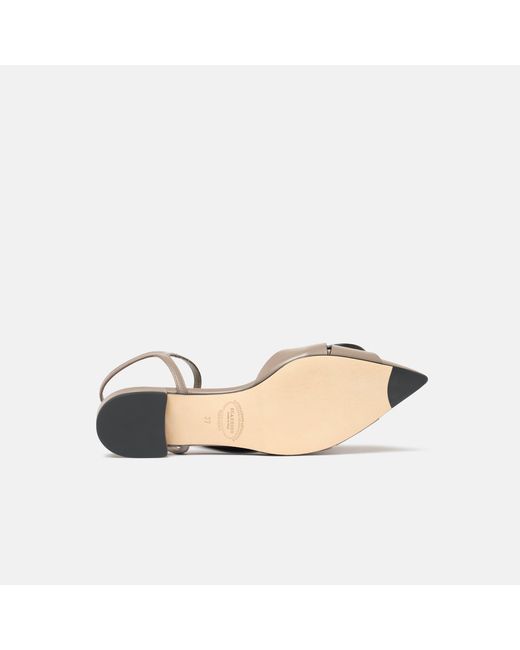 Scarosso Multicolor Amanda Taupe