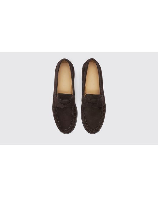 Scarosso Black Fred Brown Suede Loafers for men