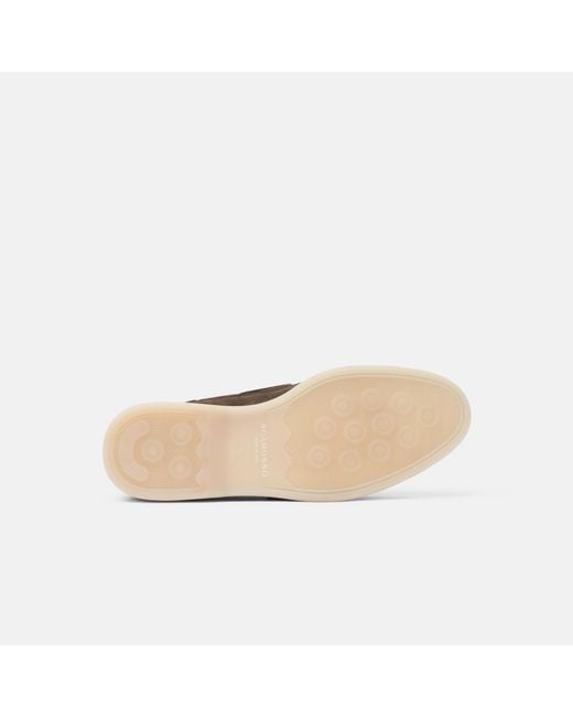 Scarosso Brown Lio Deep Taupe Suede for men