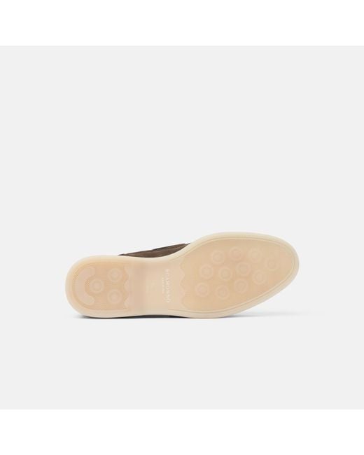 Scarosso Lio Deep Taupe Veloursleder in Brown für Herren