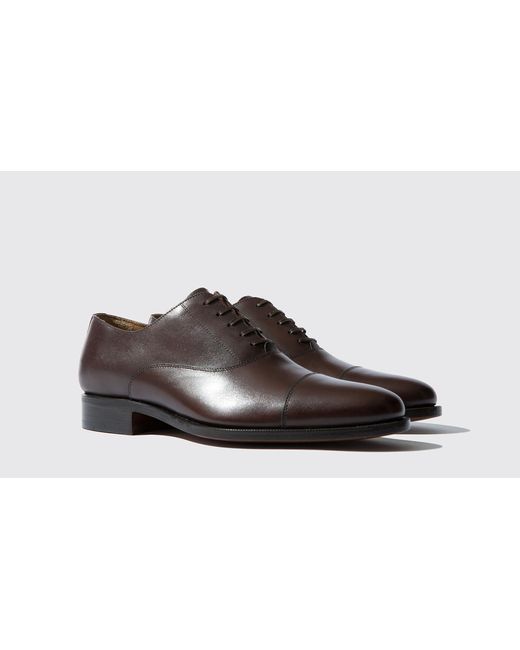 Scarosso Brown Oxfords Giove Marrone Calf Leather for men