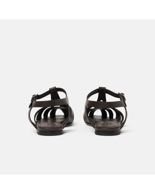 Scarosso Black Gala Dark