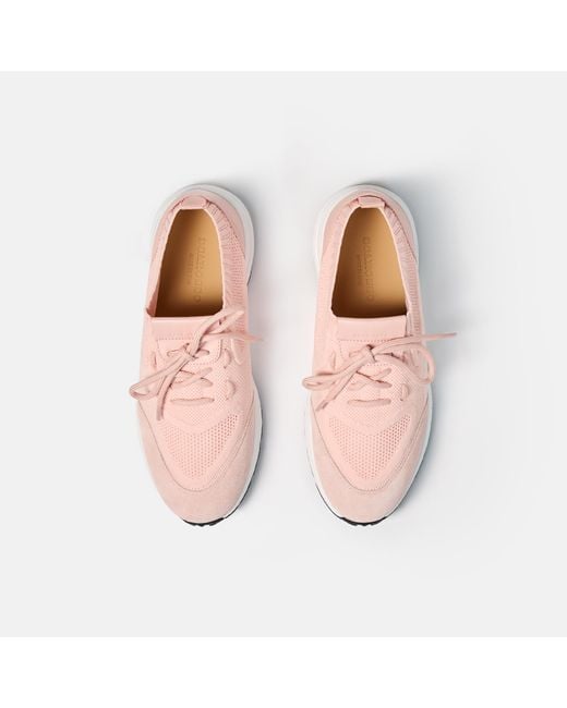 Scarosso Pink Robin Rosa