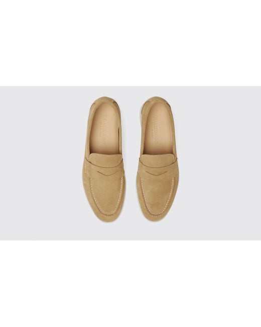 Scarosso Black Luciano Beige Suede Loafers for men