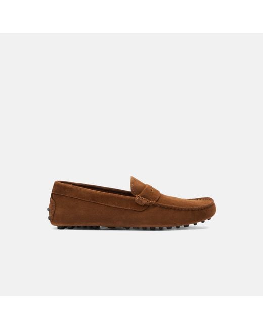 Scarosso Brown Michael Cigar Suede Driving Shoes for men