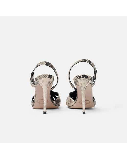 Scarosso Metallic Athena Python