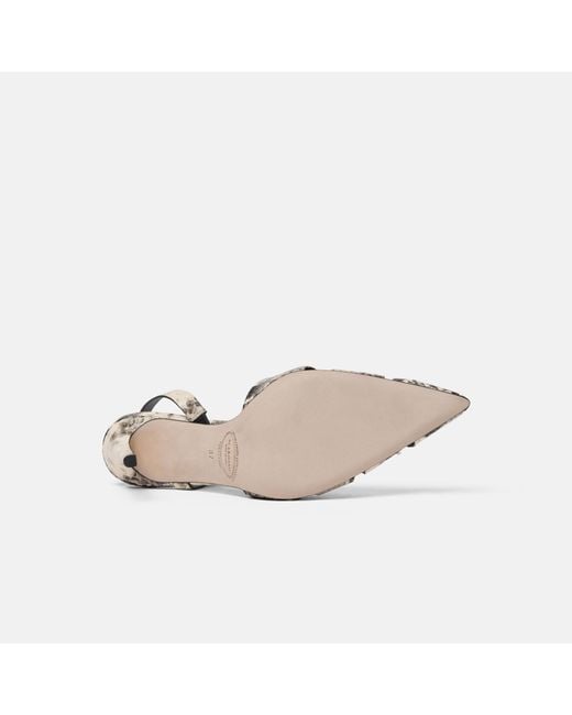 Scarosso Metallic Athena Python