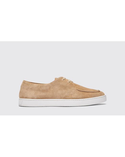 Scarosso Black Chad Beige Suede Sneakers for men