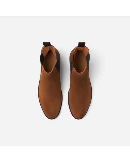 Scarosso Brown Caterina Marrone