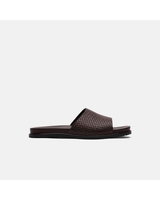 Scarosso Brown Tito Moro for men