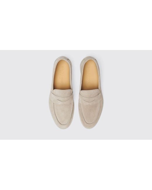Scarosso Black Luciana Sand Suede Loafers
