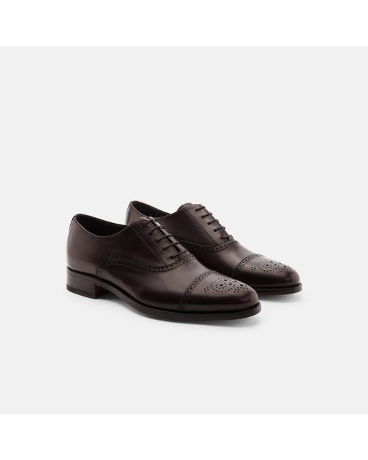 Scarosso Brown Silvio for men