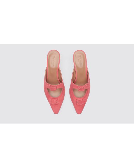 Scarosso Red Liz Pink Suede Mules