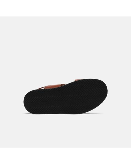 Scarosso Multicolor Antonio Cognac Sandals for men