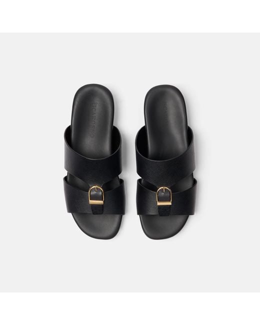 Scarosso Black Dodi for men