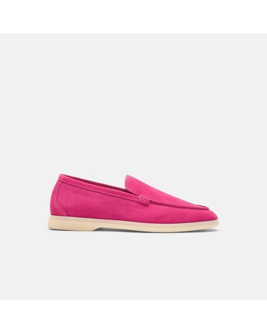 Scarosso Pink Ludovica Fucsia Scamosciata