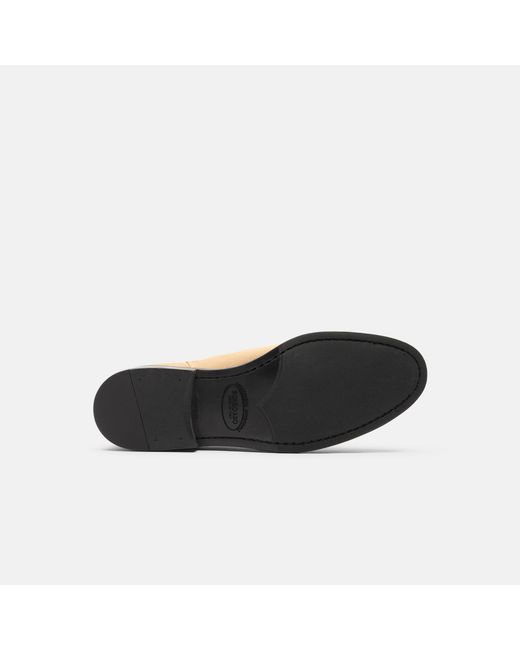 Scarosso Natural Claudia Suede