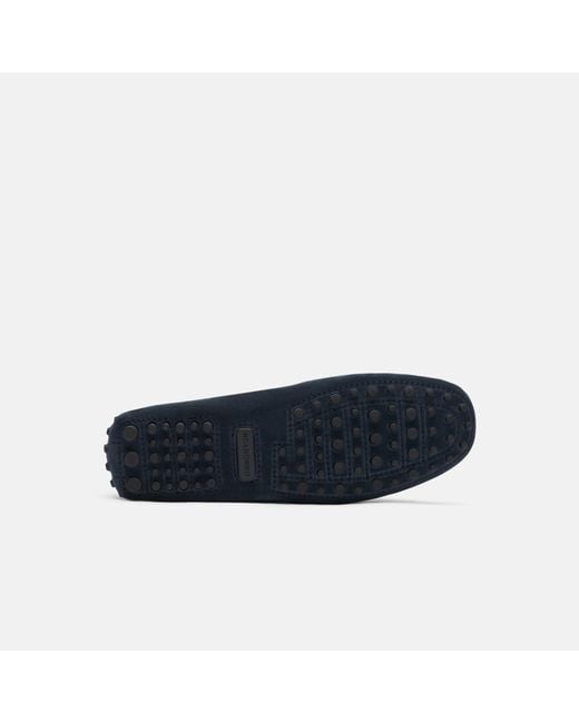 Scarosso Michael Blue Suede Driving Shoes for men
