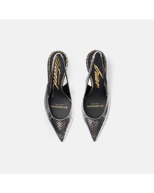 Scarosso White Sutton Elaphe