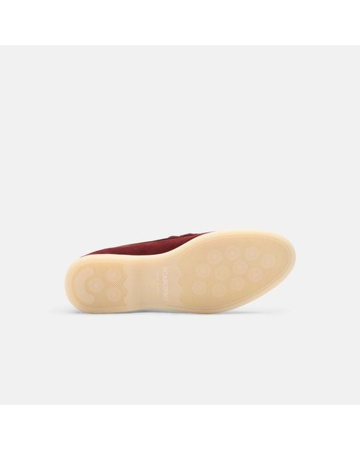 Scarosso Multicolor Ludovica Bordeaux Scamosciata