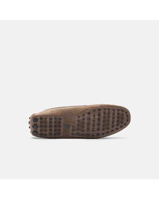 Scarosso Brown Ashley Taupe Suede Driving Shoes