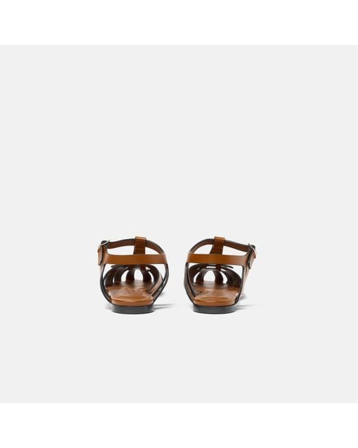 Scarosso Brown Gala Cuir