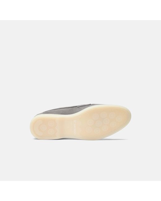 Scarosso Gray Luciana Suede